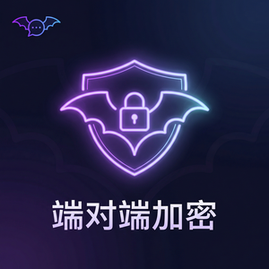 蝙蝠聊天 - 蝙蝠聊天软件是否支持VPN使用